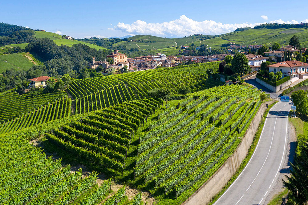 Découvrez la cave à vin Ceretto