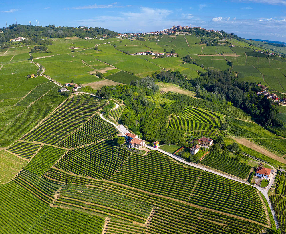 Découvrez la cave à vin Ceretto
