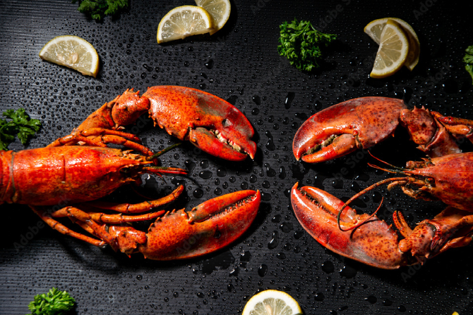 Transformer la tradition en luxe