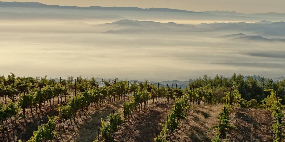 Ils sont là : Classiques, douillets et parfaits pour l'automne