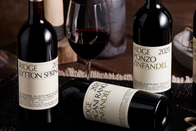 Ils sont là : Classiques, douillets et parfaits pour l'automne